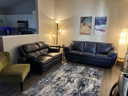 Valted Ceilings in Living Room